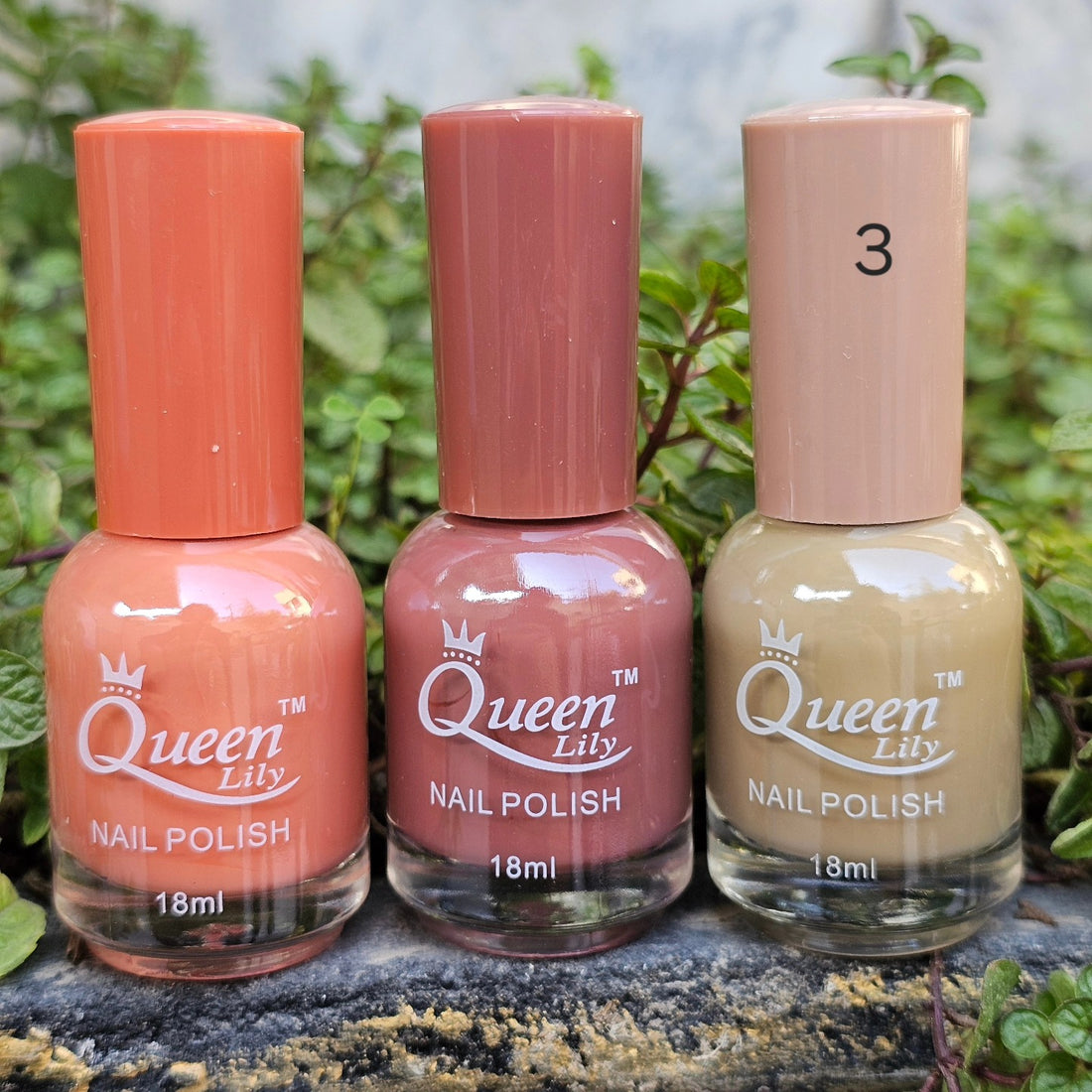 Queen Lily Nail Paint 12 Colors Pack – Glossy Quick-Dry Nail Polish Set
